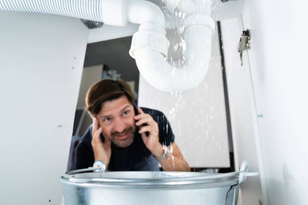 Best Water Leak Repair  in Parkersburg, IA