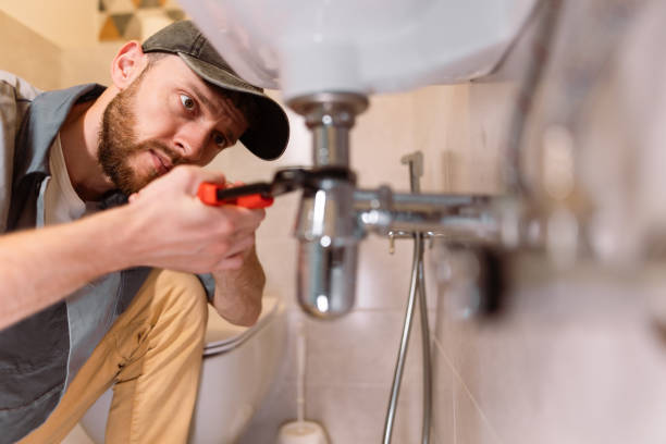 Best Toilet Repair Services  in Parkersburg, IA