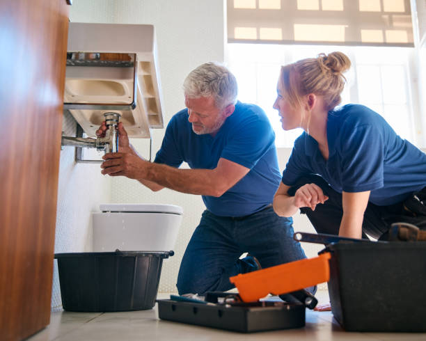 Best Local Plumber Services  in Parkersburg, IA